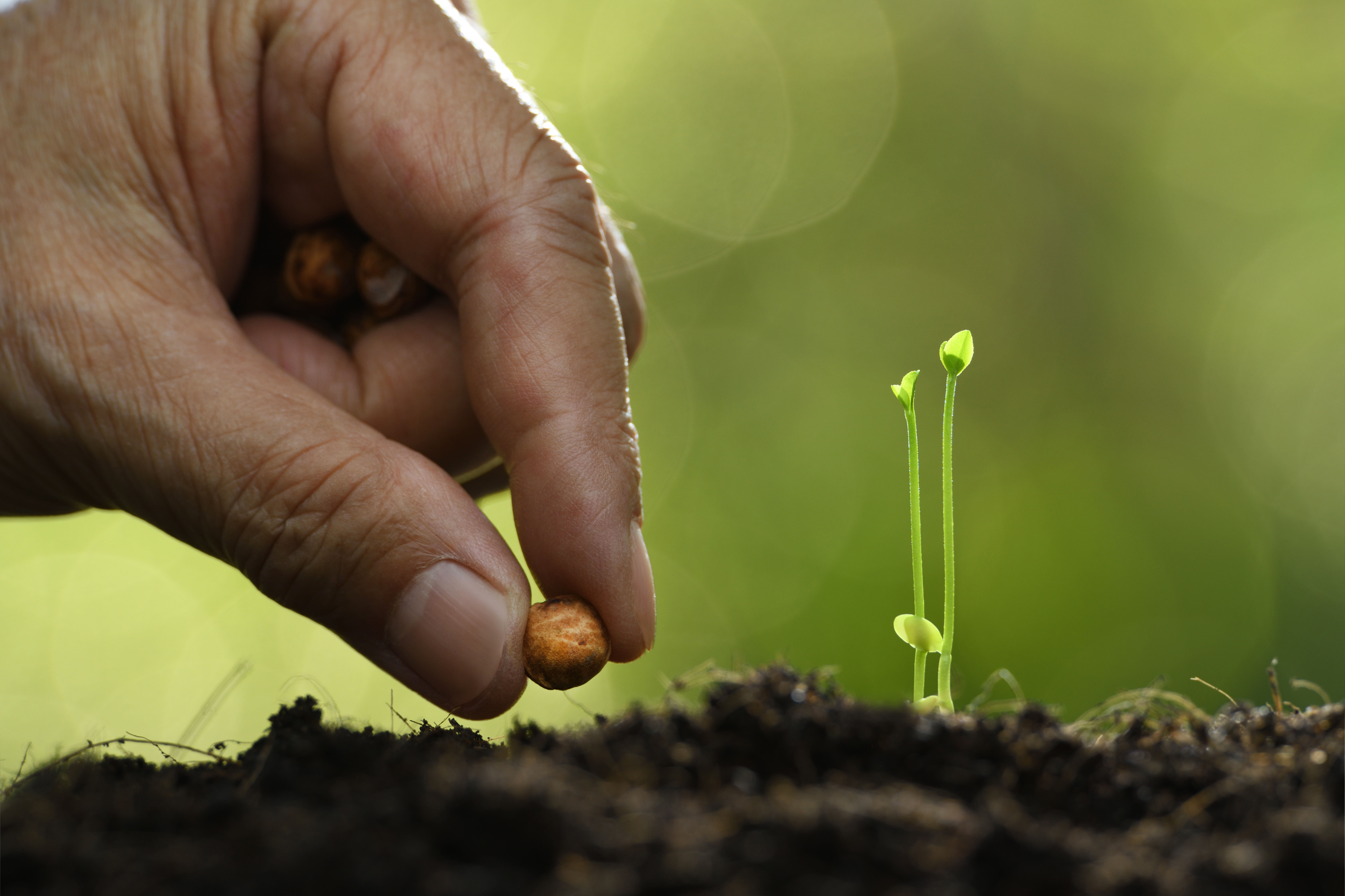 Earth Day 2024