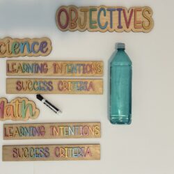 Objectives & Learning Targets Wooden Signs