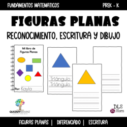 Differentiated 2D Shapes Fun Mini-Books