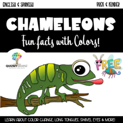 Chameleons Fun Facts with Colors! PreK & Kinder